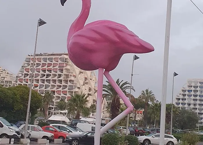 L'amazone 25m2 Wifi Climatise Avec Loggia