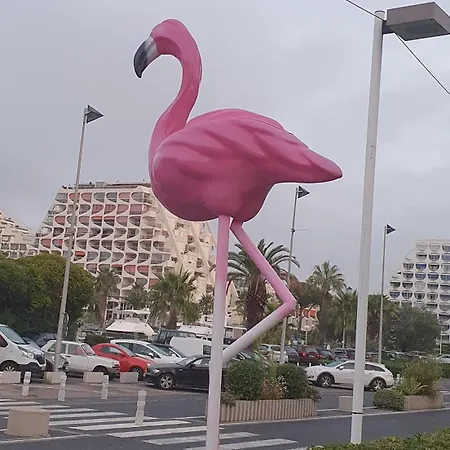 L'amazone 25m2 Wifi Climatise Avec Loggia