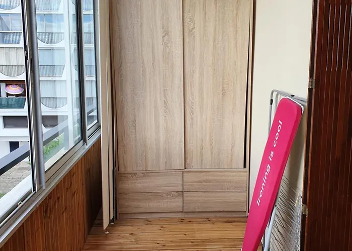 L'amazone 25m2 Wifi Climatise Avec Loggia Apartman *